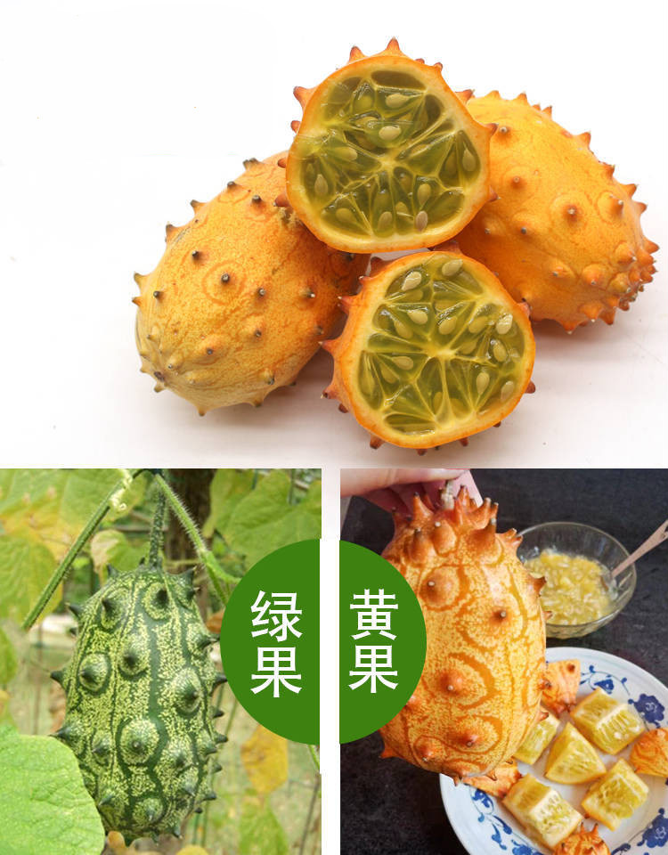 现摘火参果应季水果新鲜奇异水果海参果精选大果6个蜂蜜吸管勺子
