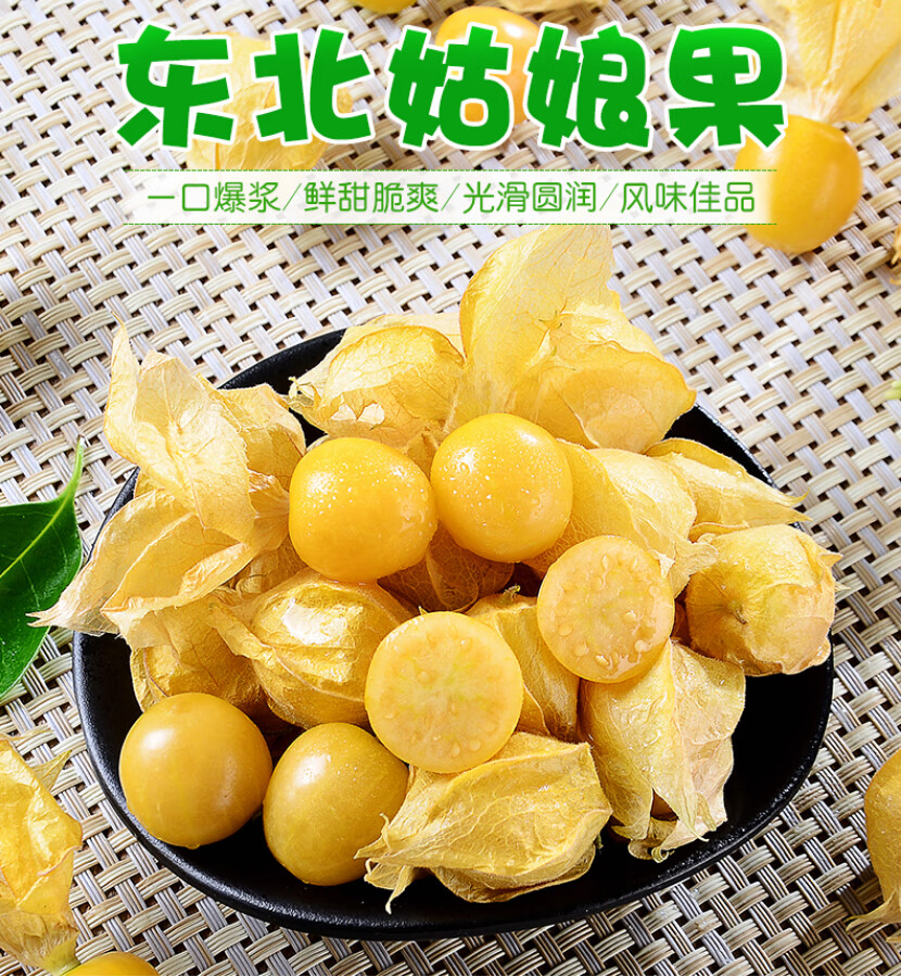 精选洋菇娘果 东北黄姑娘果灯笼果菇凉果京东新鲜水果 菇娘果 带箱5斤