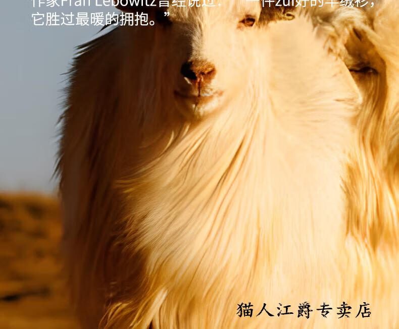 O1CN01xU8By51W9GChdGOnB_!!1047102745.jpg