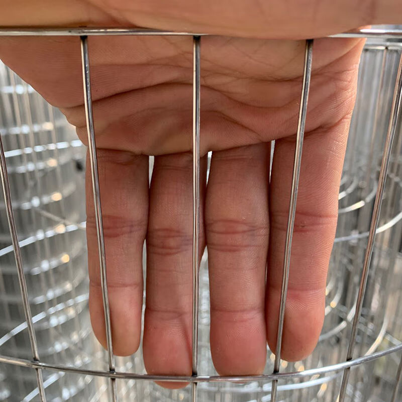 鸟笼网鹌鹑网养殖网电焊网卷长孔家用养鸡网鹦鹉笼防护镀锌铁丝网