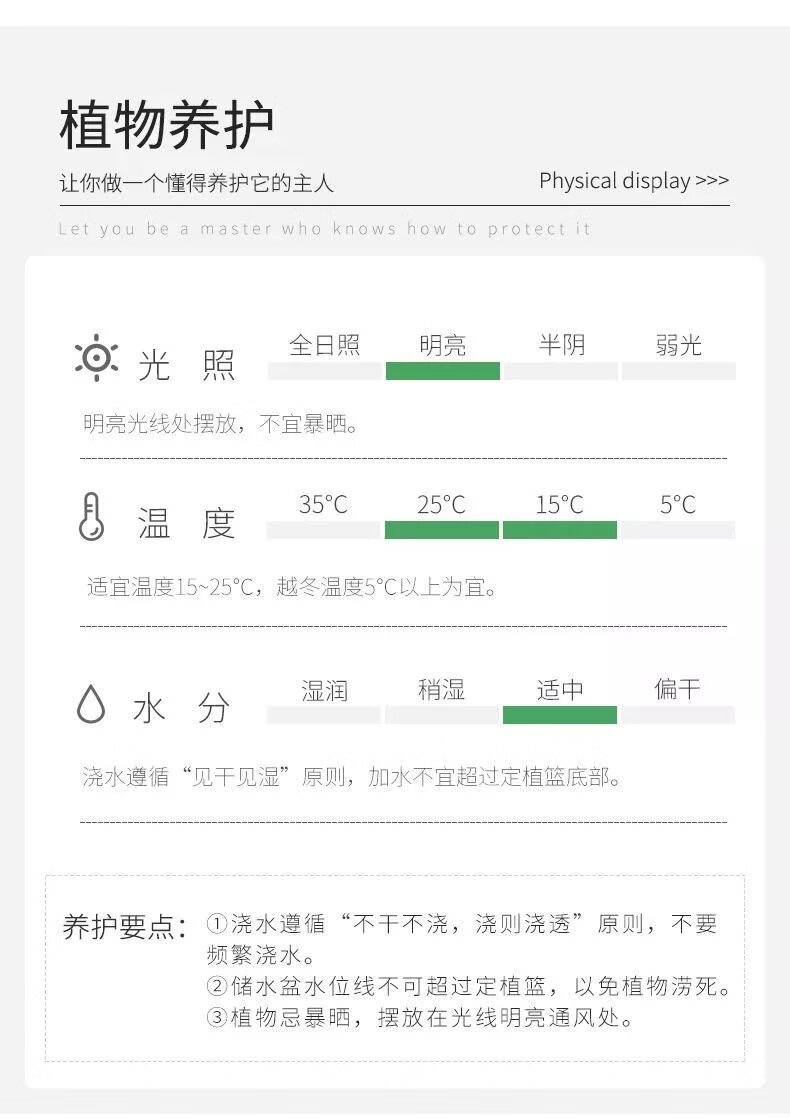 5，花卉盆栽發財樹辦公室小綠植室內好養梔子花綠蘿水培植物多肉鮮花 富貴竹 含創意透明盆