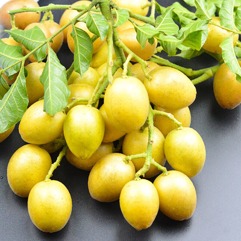 【顺丰】广东鸡心黄皮果生鲜水果无核鲜果冰糖弹现摘当季孕妇酸甜水果
