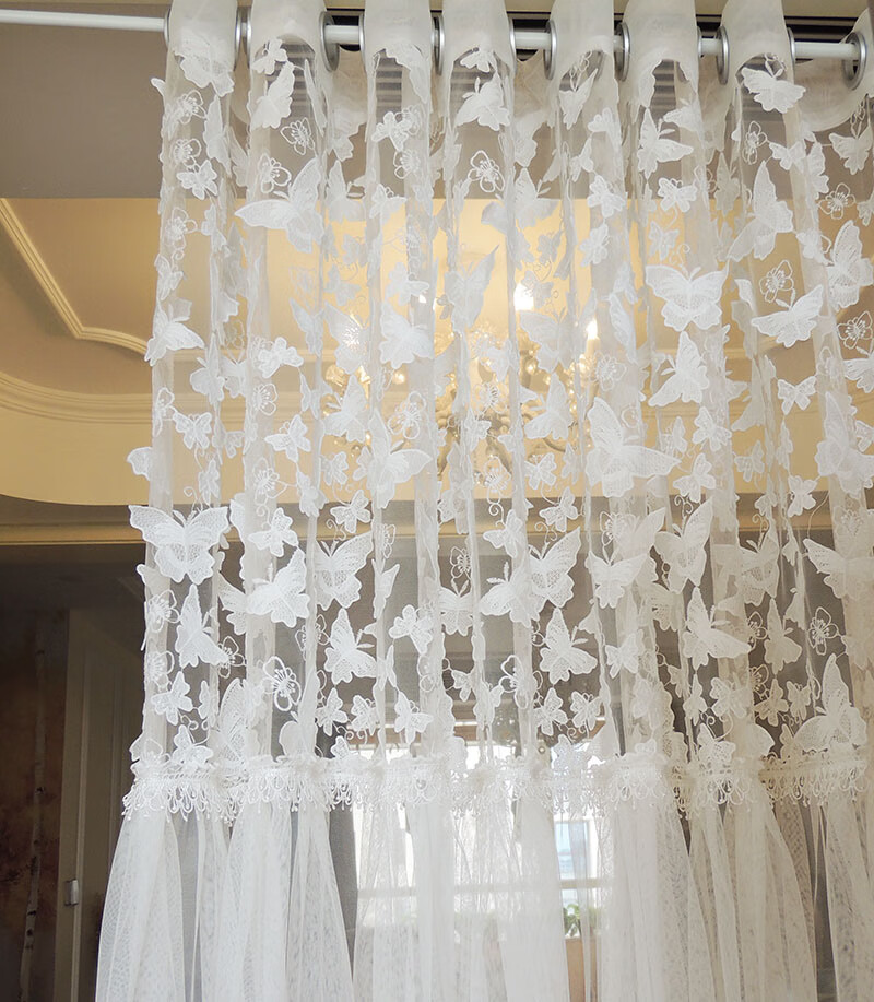新款蕾丝薄纱帘立体绣花网纱隔断窗帘轻奢装饰客厅透光飘窗纱白色定制