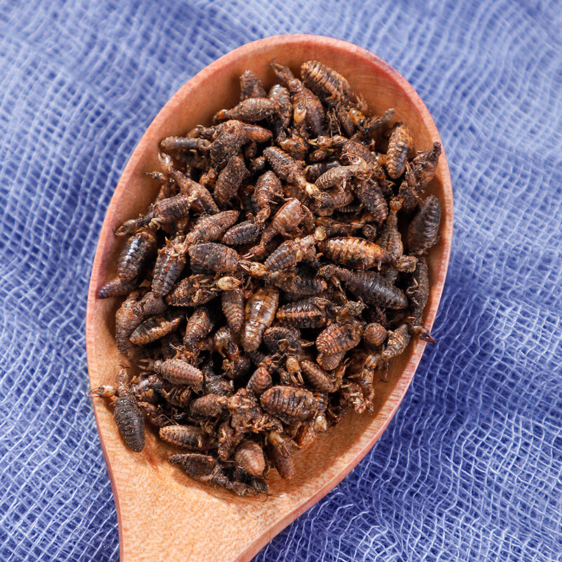 北京同仁堂金沙牛中药材10g金砂牛新鲜非野生特级中草药店铺大全中药