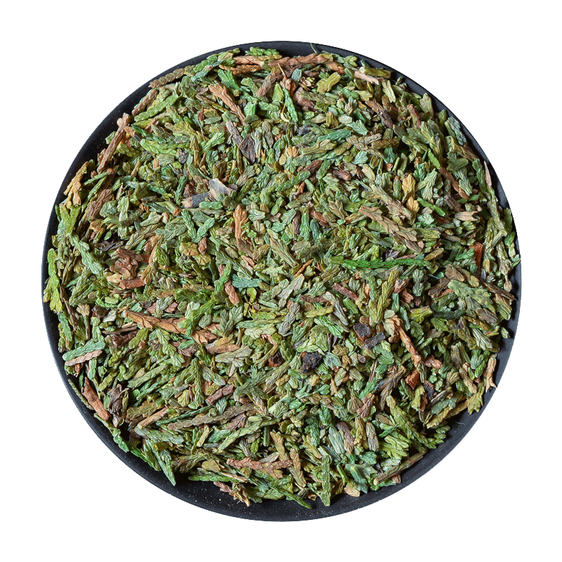 祁桂堂中药材侧柏叶桑叶苦丁茶晒干柏树叶扁柏黄心柏叶可搭配桑叶苦丁