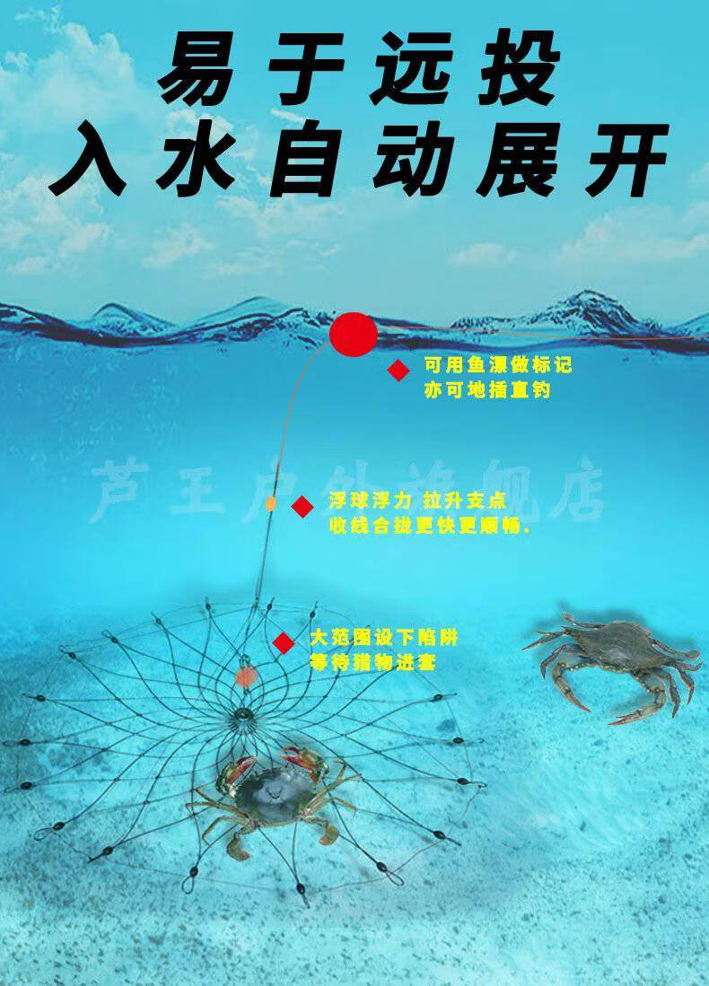 芦王手竿台钓螃蟹笼河蟹钩钓螃蟹套钓大闸蟹工具自动蟹笼网红螃蟹 50