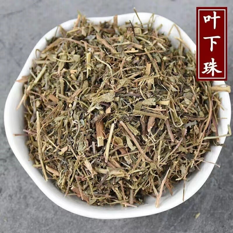 500克野生珍珠草新货 叶下珠茶 珠仔草中草药店铺【图片 价格 品牌