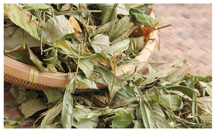 优选广西野生葫芦茶中材500g干货田刀柄咸鱼草狗舌犁图片色