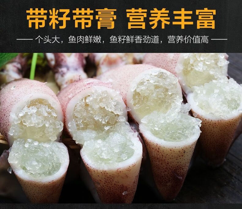 海兔满籽小墨鱼仔鲜活速冻笔管鱼全籽海鲜水产满籽籽乌一斤约10只四