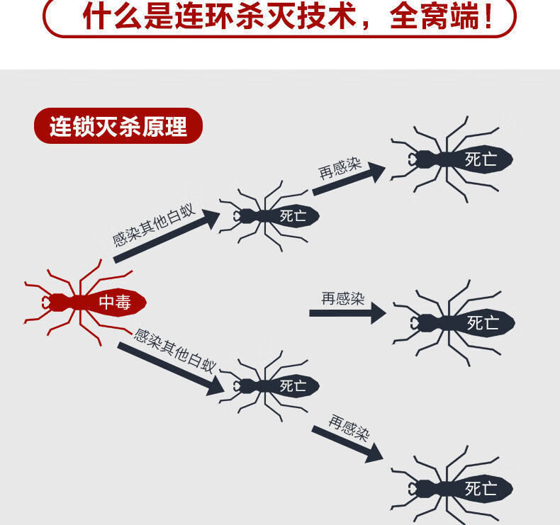 降价了白蚁药除防治消灭白蚂蚁药粉园林家用室内全窝端1盒100克