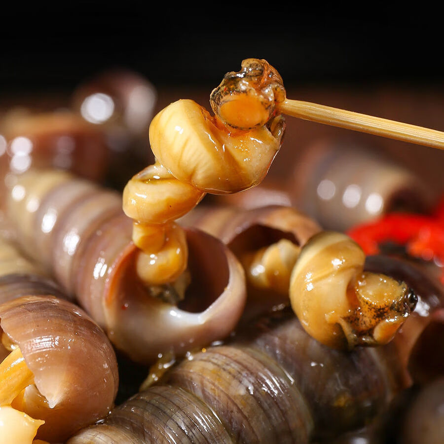 海鲜钉螺鲜活去尾钉螺新鲜海螺丝海钉螺海锥锥螺鲜活 3斤爽歪歪【图片