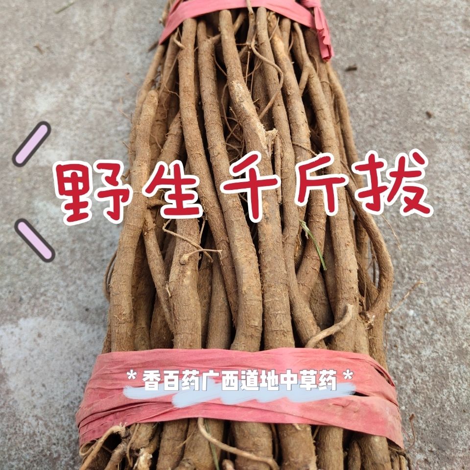 千斤拔 整条新货晒干中药材 一条根千金拔老鼠尾 【整条】千斤拔500克