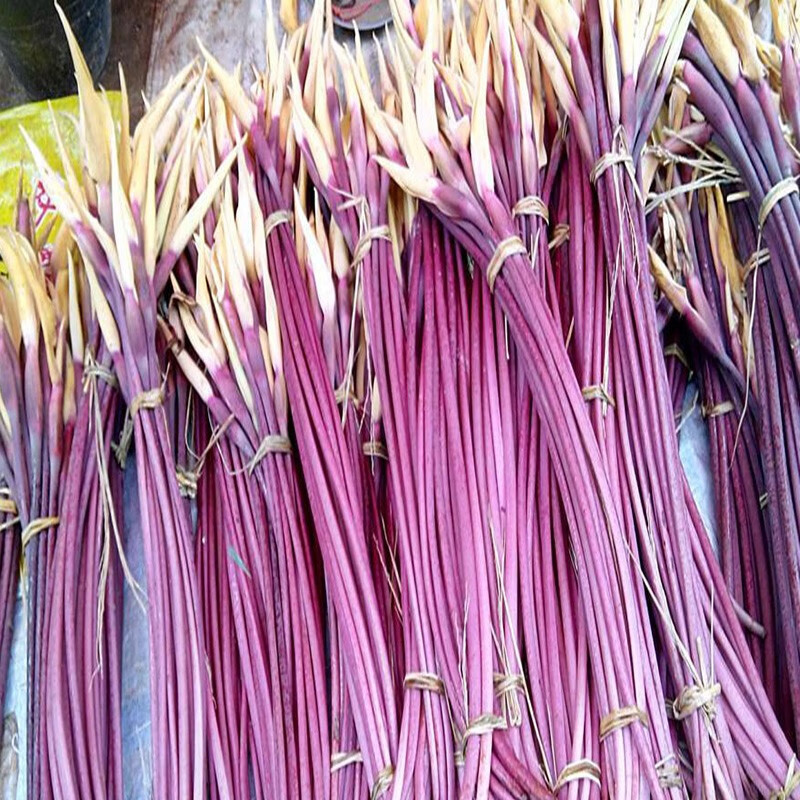 海鲜阁芋头花云南特产新鲜紫色芋荷花芋苗花芋头杆新鲜蔬菜1kg