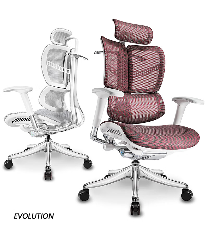 ergomax evolution chair