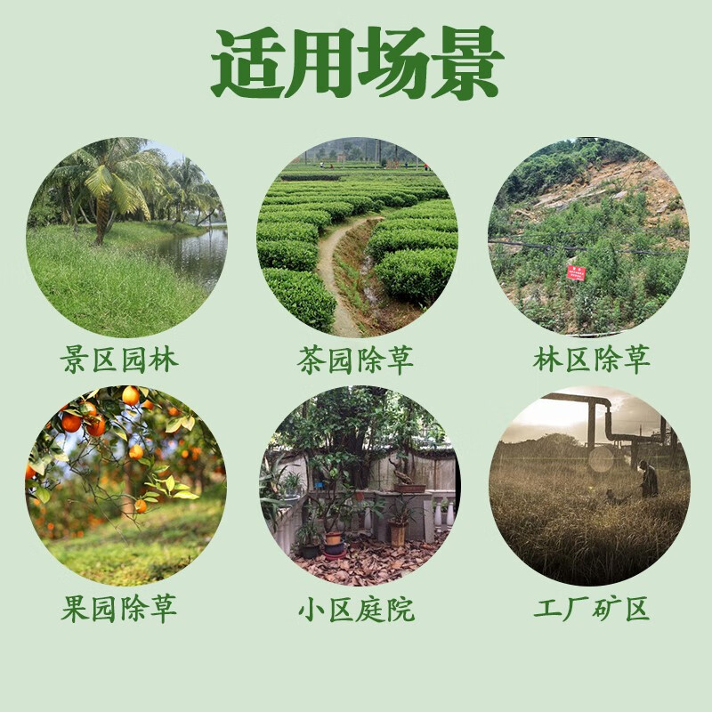 32%滴酸草甘磷草甘瞵一扫光牛筋草芦苇杂草除草烂根剂除草神剂 200克*