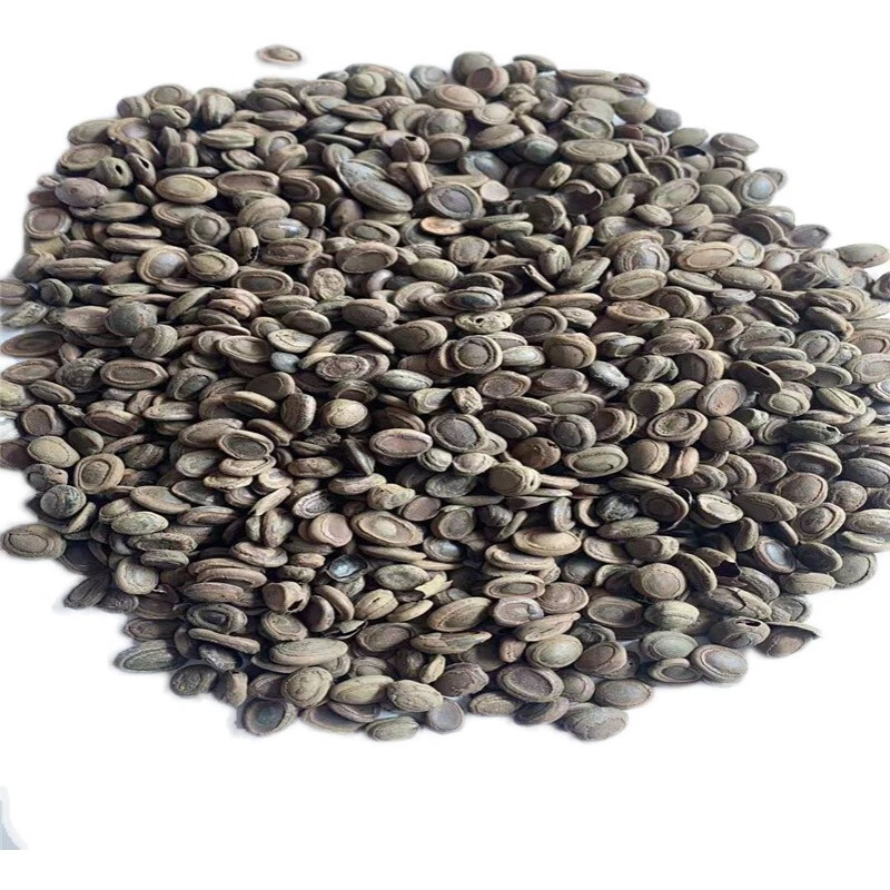 北京同仁堂原料猴枣 中药材 新货猴子枣 猴丹 羊肠枣 申枣 1克【图片