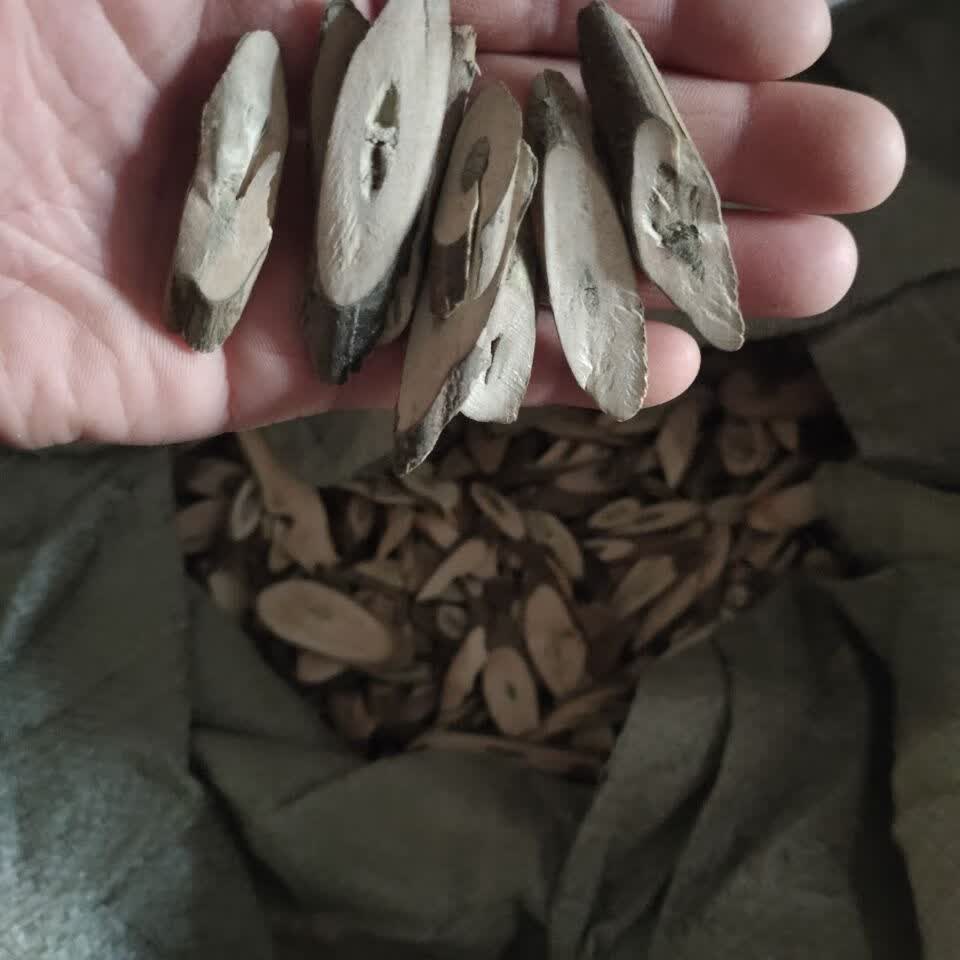 南板蓝根 1斤 板蓝根 250g克5.9.