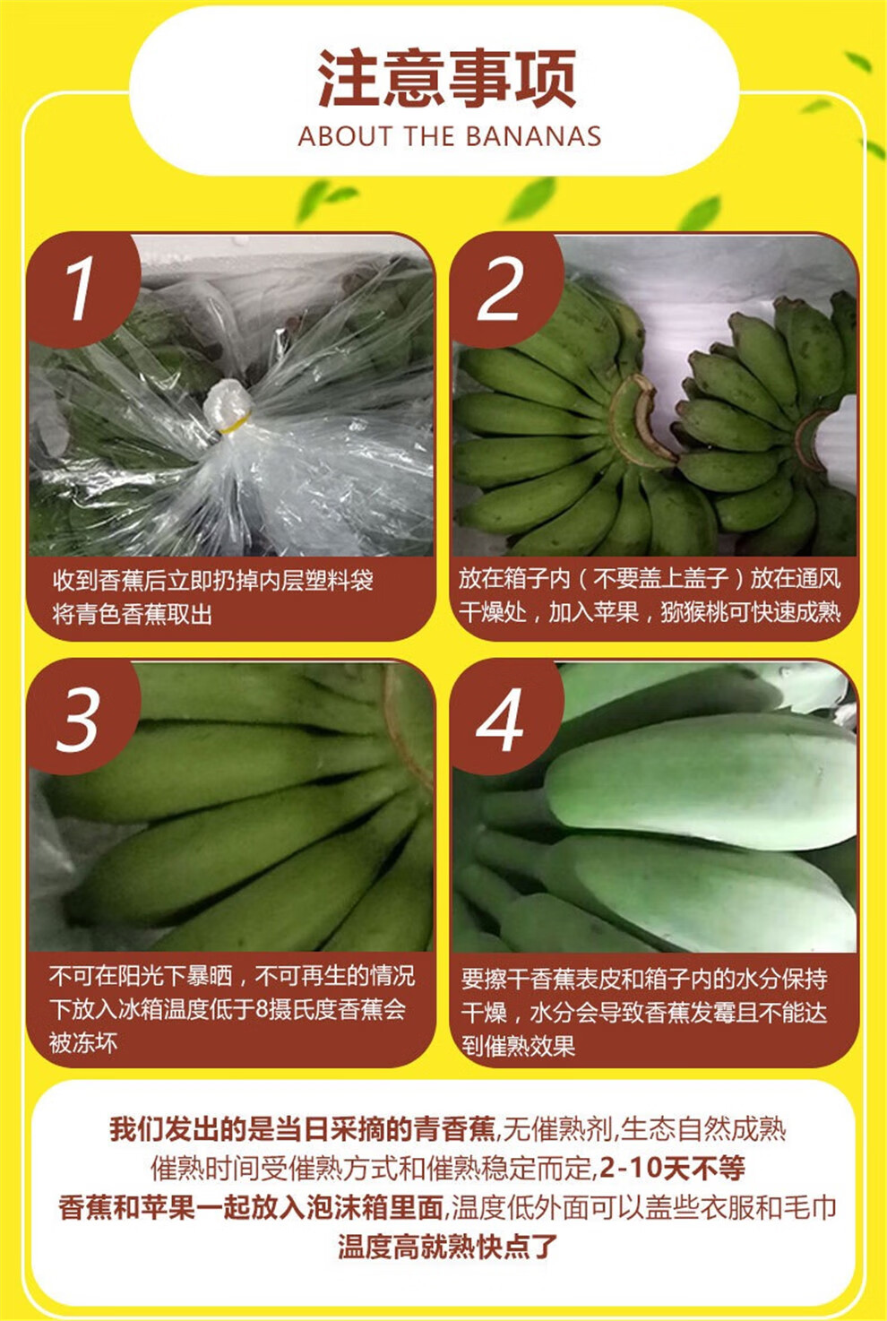 广西小米蕉水果新鲜当季小香蕉整箱应季 小米蕉约9斤(和苹果一起催熟)