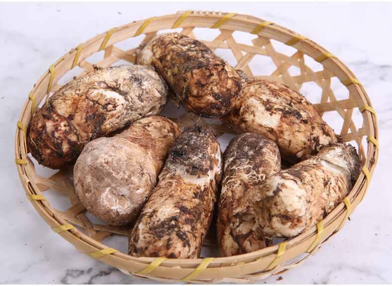 云南香格里拉新鲜松茸鲜菌菇云南特产食用菌顺丰空运未开伞 中秋团购