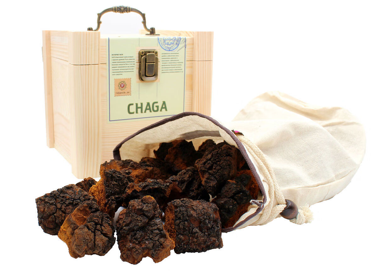 有仁堂俄罗斯桦树茸进口白桦茸西伯利亚桦褐孔菌天然胰岛素三高原切