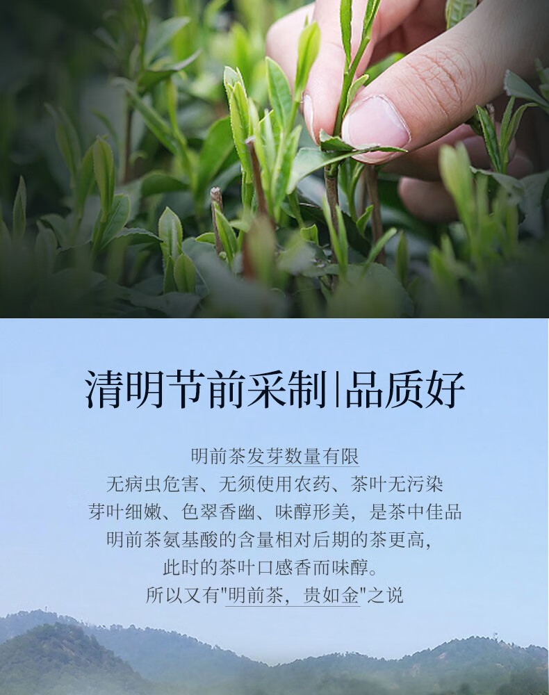 更香茗茶有机茶2021明前茶新茶高山云雾茶叶特级高山云雾春茶100g*2桶