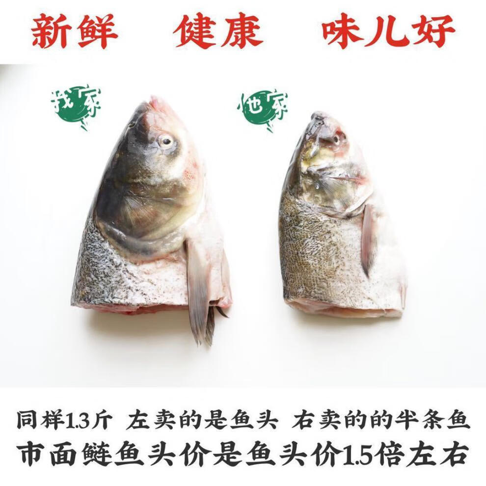 鲜活现杀胖头鱼鲢鱼头剁椒鱼头鱼头煲汤花鲢大头白鲢新鲜批发白鲢实惠