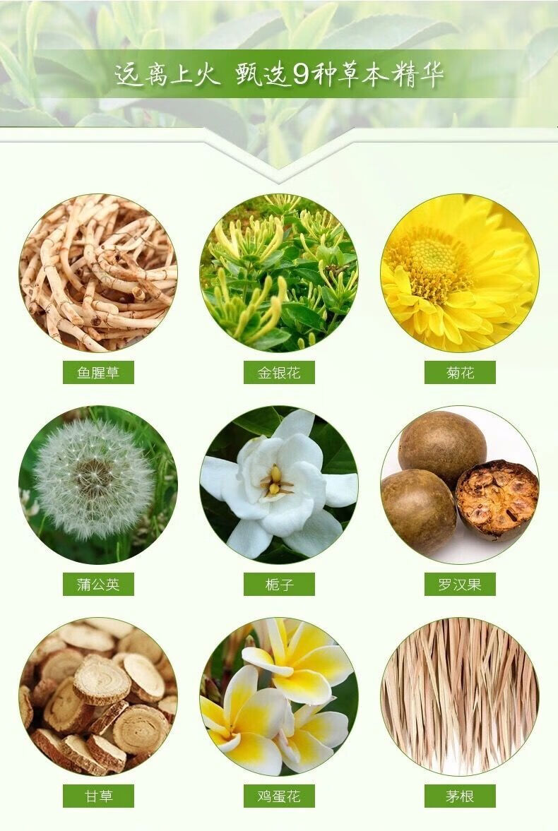 清酷凉茶清酷本草凉茶饮料凉茶精华加绿茶低温冷萃植物饮品清酷凉茶