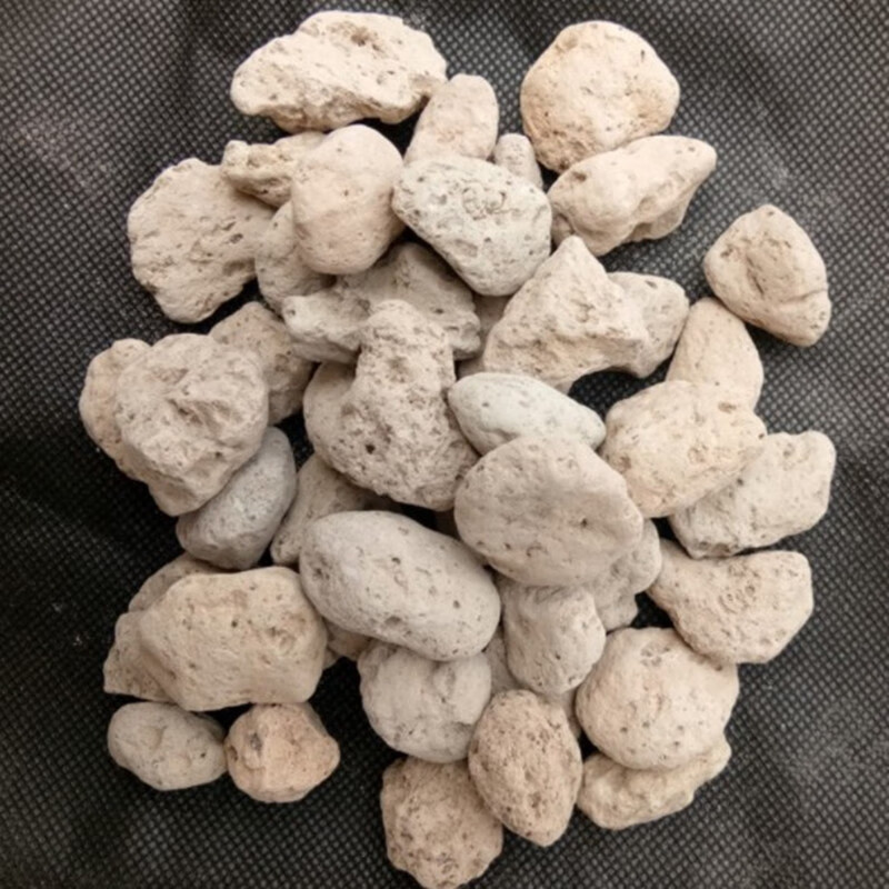 北京同仁堂海浮石中药材店铺500克水花 浮海石 另有海浮石花中草药