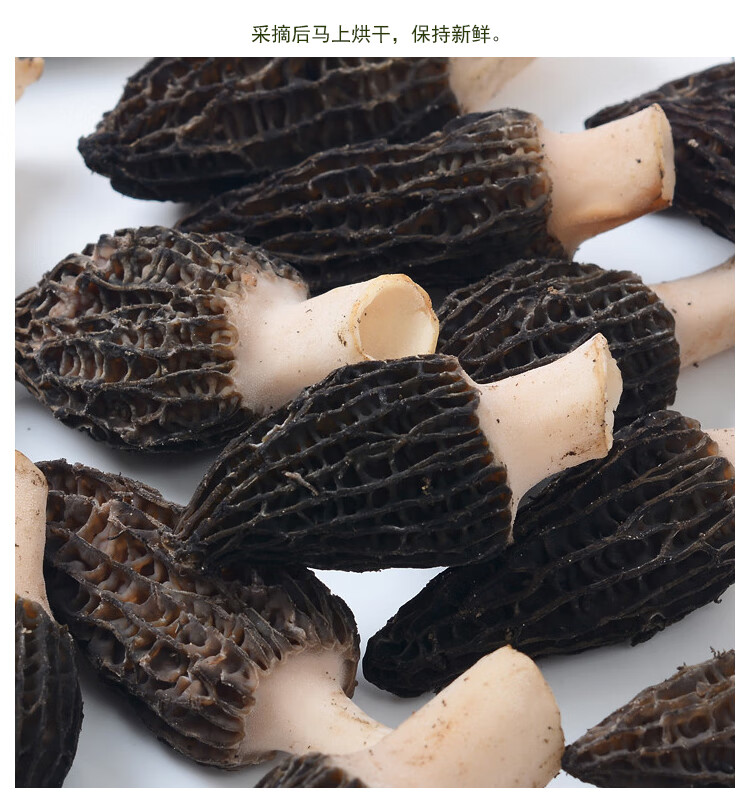 贵州特产深山半柄羊肚菌农家干货50克