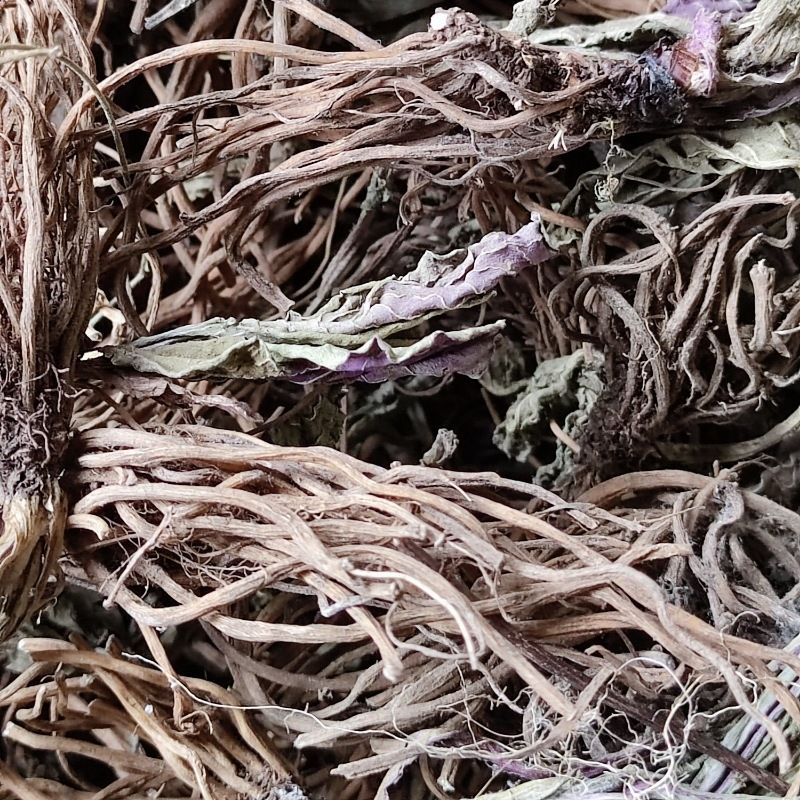 有仁堂 贵州省野牲风干野青菜下单中草药材 现挖菊土三七 天青地红 鲜