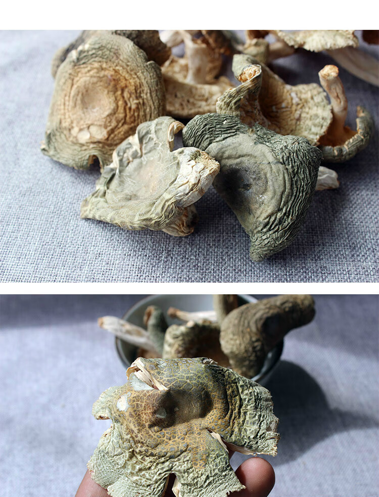 精选云南野生青头菌100g蘑菇香菇煲汤食材干菌子青头菌干货菌菇