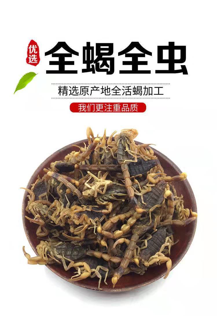 中药材全蝎 全虫蝎子清水干货 蝎子整条公蝎子泡酒煲汤可磨粉 清水
