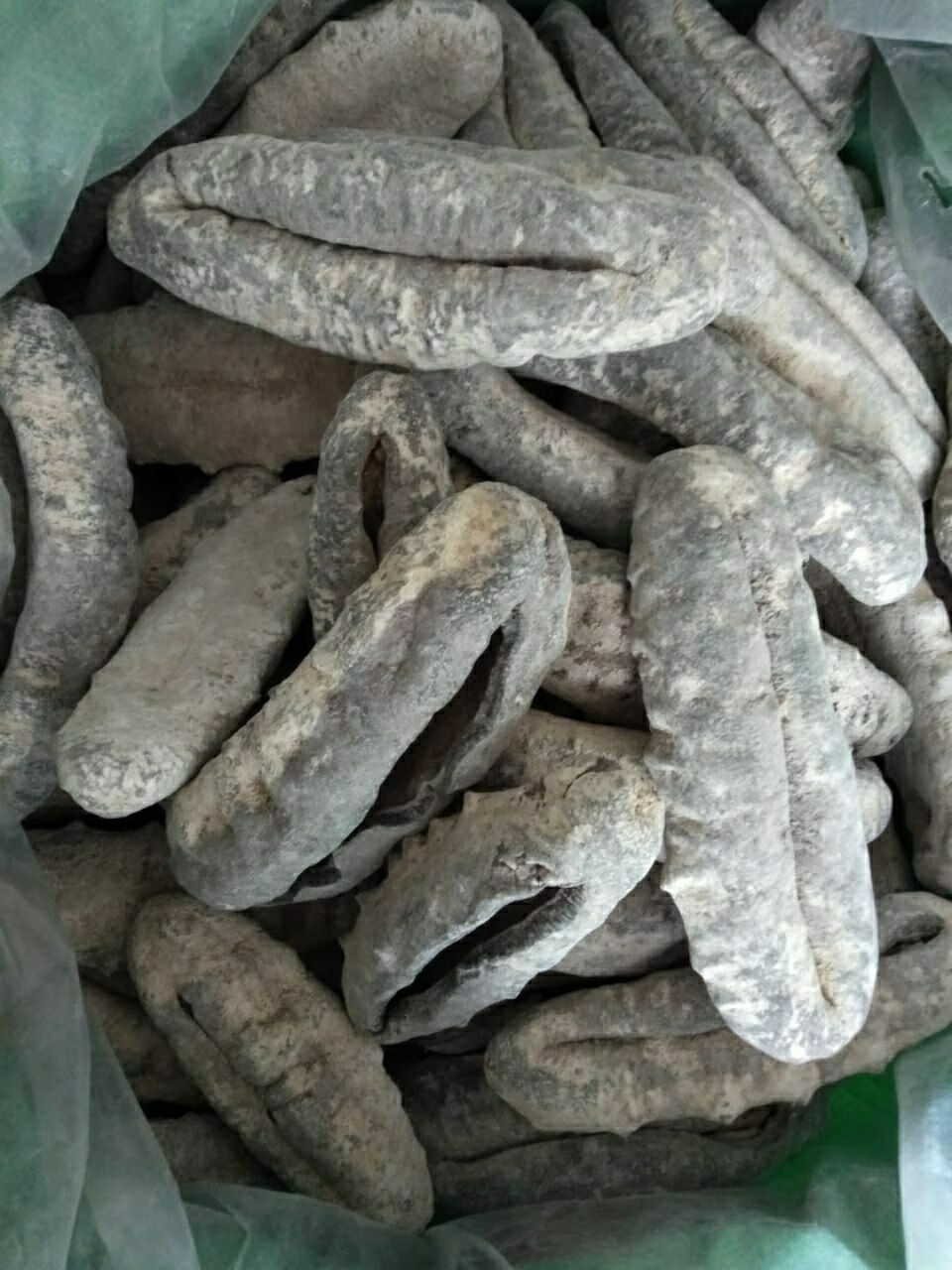 猪婆参 澳洲非州南美洲野生海参 特级白石参 淡干货 酒店供应 一斤