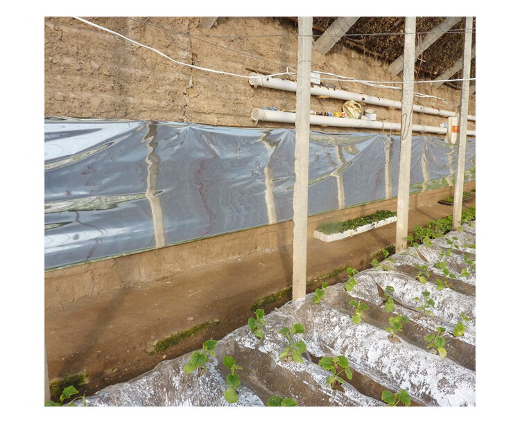 德骊嘉大棚反光膜温室农用增温升温暖棚后墙挂的反光幕布纸地膜果树