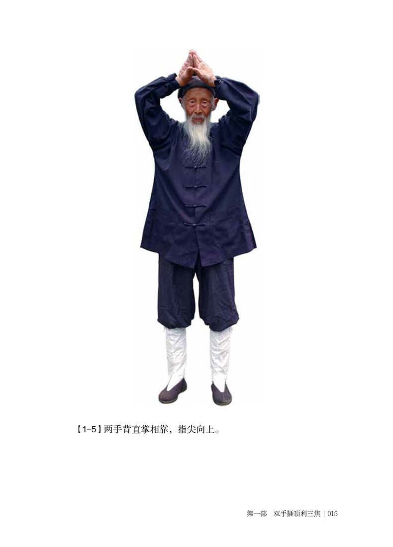 定制张至顺全套八部金刚功 米晶子 张至顺 疏通经络健康养生功法 赠