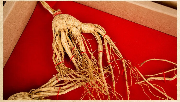 【吉林馆】关东一品堂 速干原皮参 38g/盒 集安人参 6年下【图片 价格