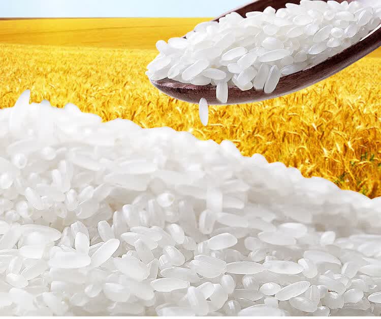 正宗五常稻花香10斤黑龙江哈尔滨原产地东北大米长粒香米稻香大米