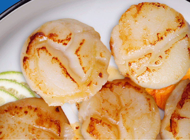 棠鲜生北海道帆立贝柱500g瑶柱元贝刺身带子海鲜辅食扇贝肉大号500g