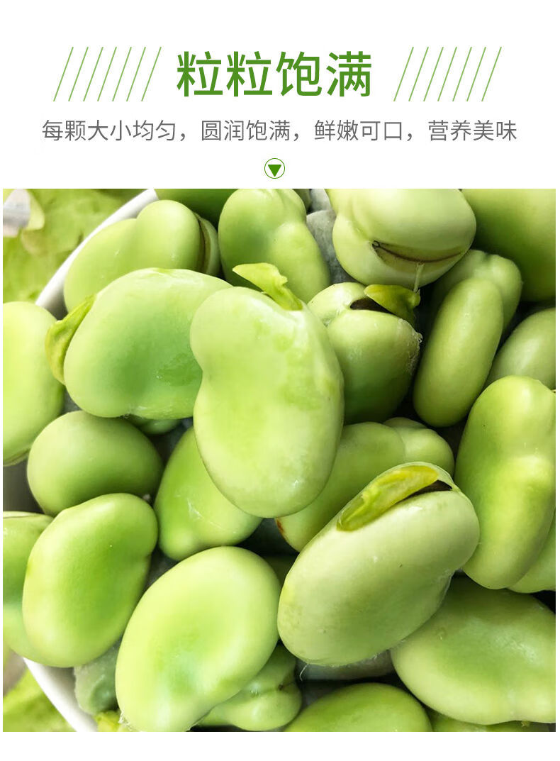 现摘苏北东台农家新鲜毛豆青蚕豆带壳蔬菜类胡豆罗汉豆时令菜蔬菜 5斤
