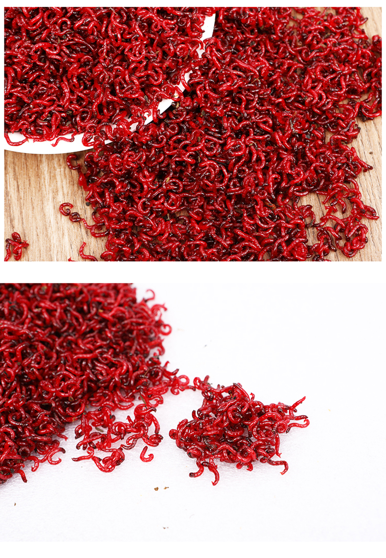 红虫活饵特大号公虫鲜活饵料鲫鱼野钓活体饵料喂鱼饵蚯蚓鱼饵 【顺丰