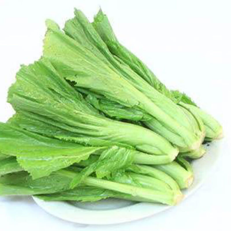 贵州青菜新鲜包心芥菜现摘宽邦大叶芥菜四季蔬菜泡酸菜原料大苦菜 3斤