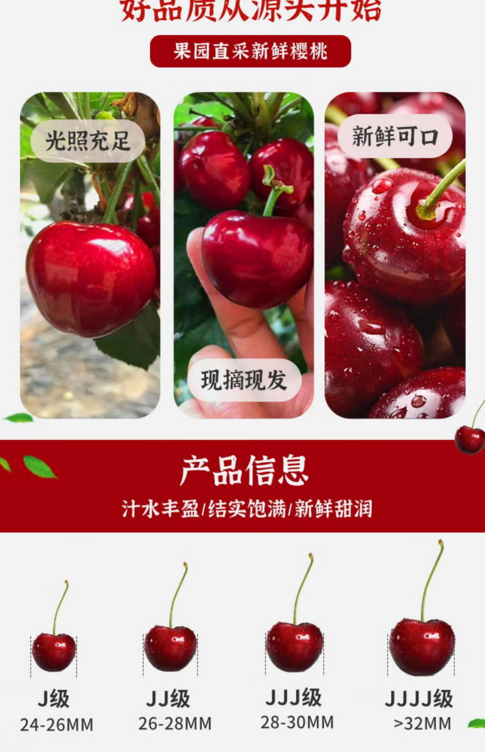 山东美早大樱桃车厘子生鲜水果jj级10斤精品装果径约2830mm