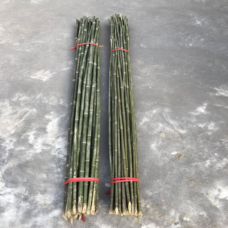 竹竿菜园搭架户外竹杆架种菜彩旗杆豆角架黄瓜架菜架小竹子细竹竿 1