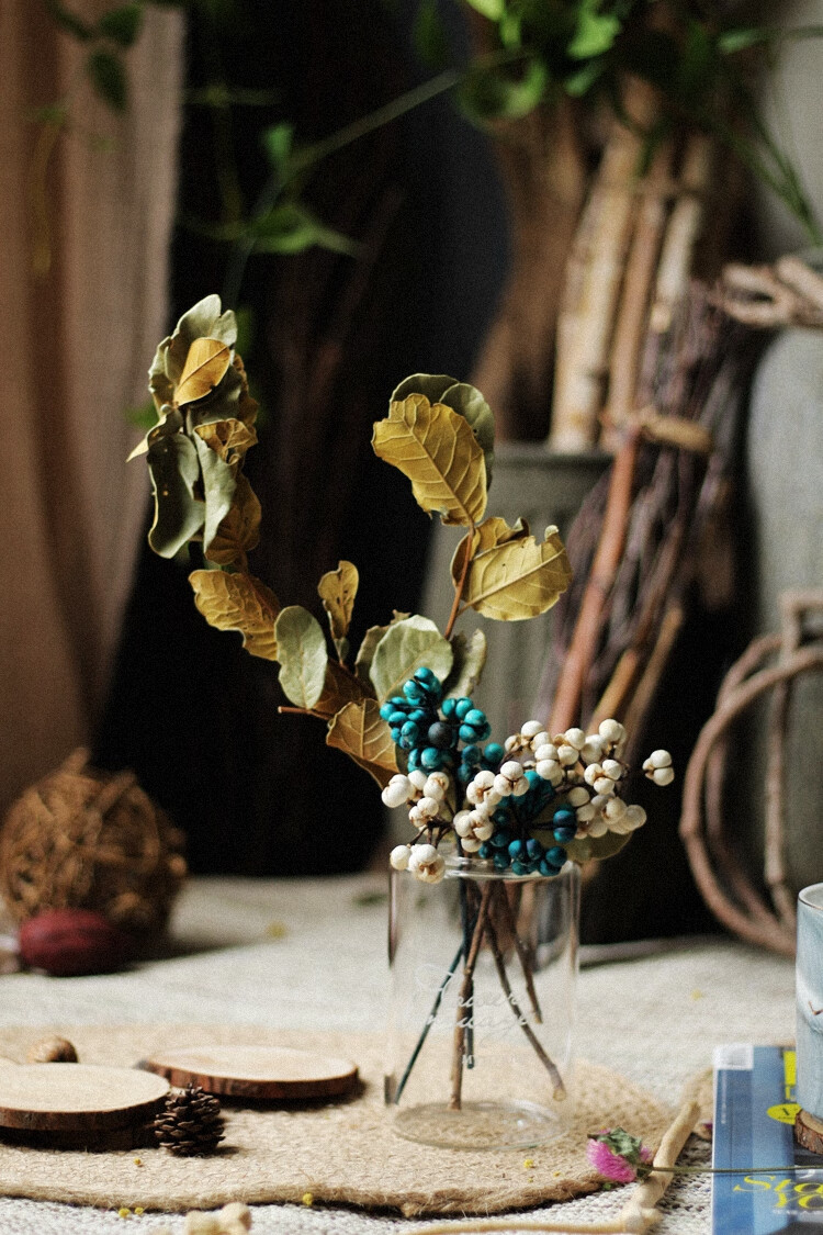 山树天然干花花束文艺小清新家居客厅摆件ins拍摄道具小白豆套装花d不