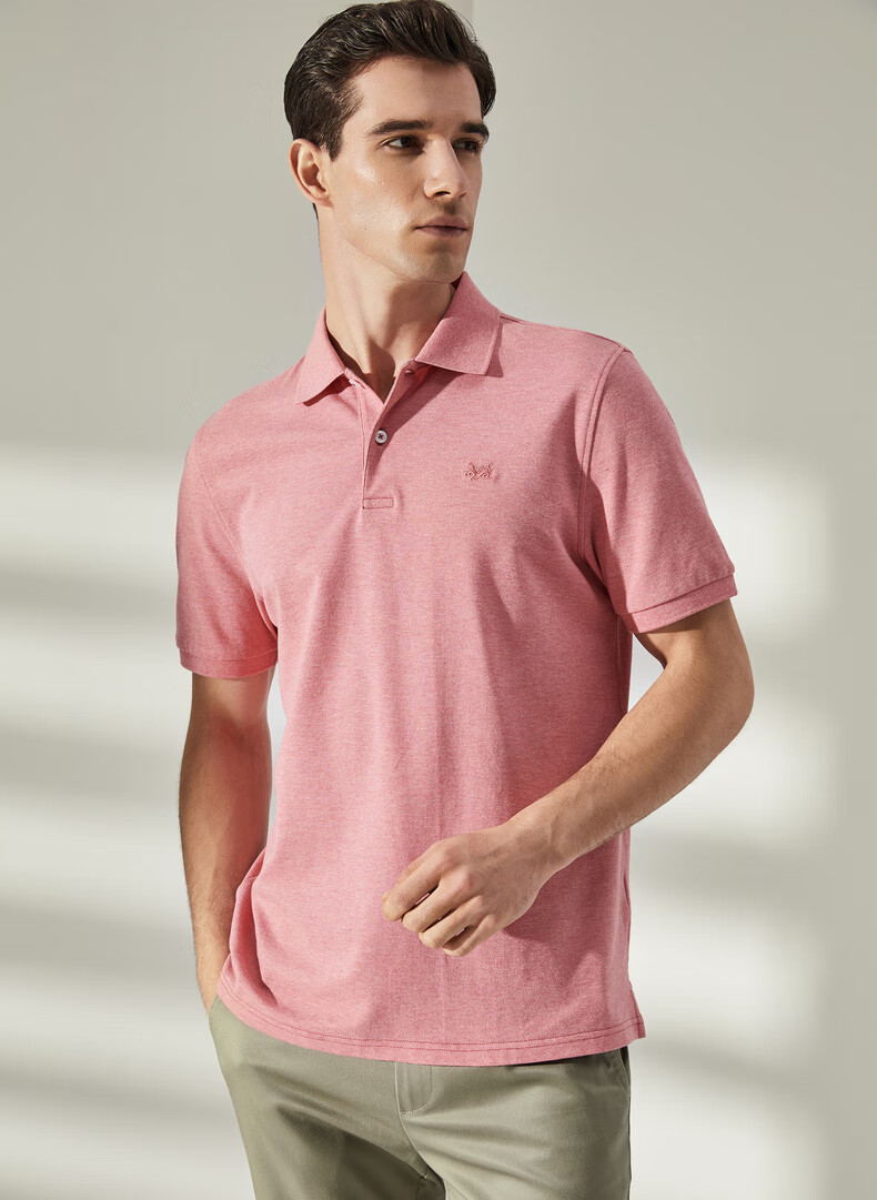 雅戈尔 t恤衫男 春夏货品 纯色短袖t恤衫 商务休闲 红色 l