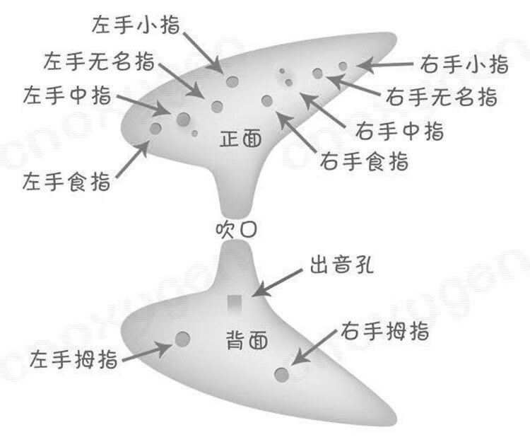 曲漾十二12孔陶笛塞达尔传说之时光笛中音c调安全包装绳子