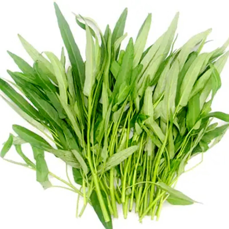 【花语笙默袋】【花语笙默】柳叶空心菜种子室内外阳台盆栽地栽蔬菜