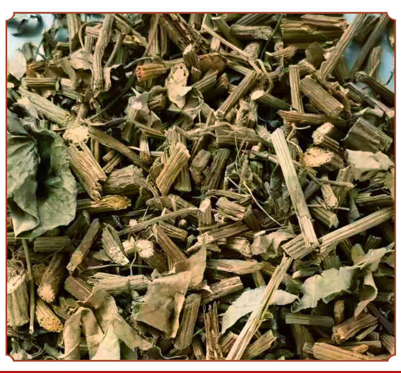 北京同仁堂原料买2餸1千金藤片素千金藤草素片千金藤素官方内廷上用