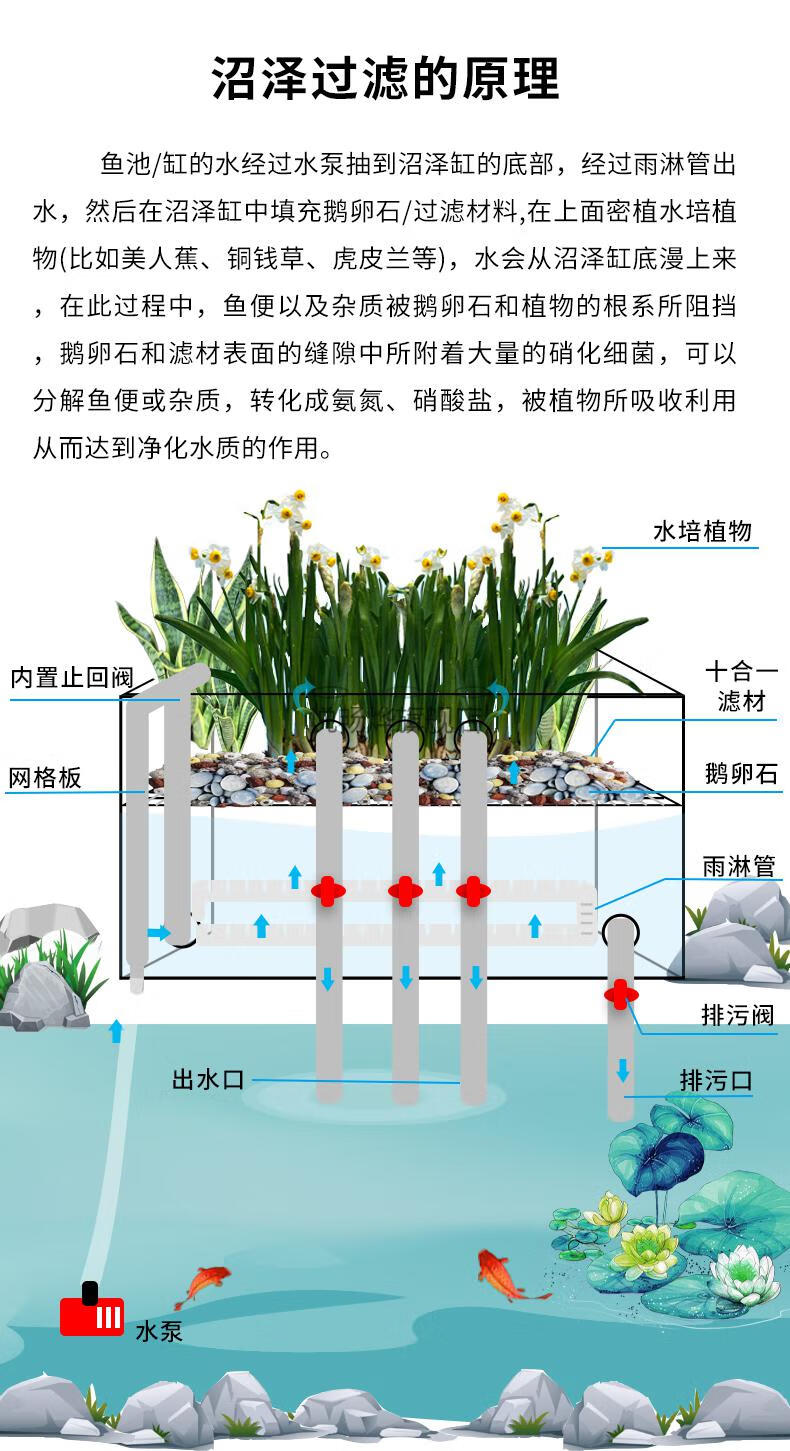 沼泽过滤图解精华贴图片