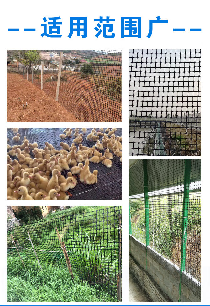户外拦鸡网子圈玉米漏粪脚垫养鸡围栏网12米高3厘米网孔16厚50米长